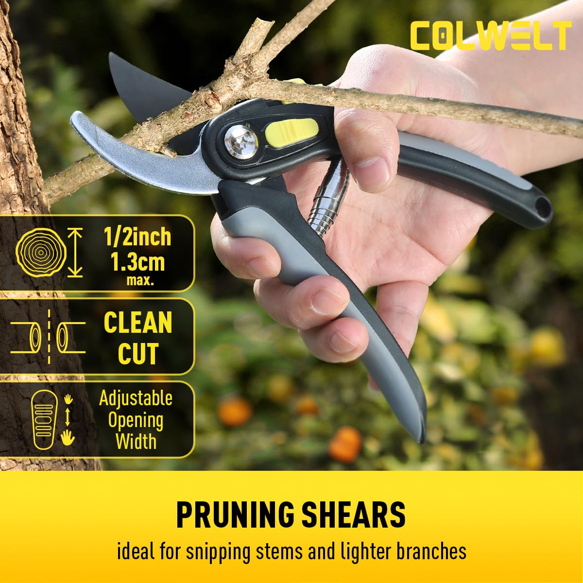 Colwelt tools reach tight spots between dense branches for precise cuts.