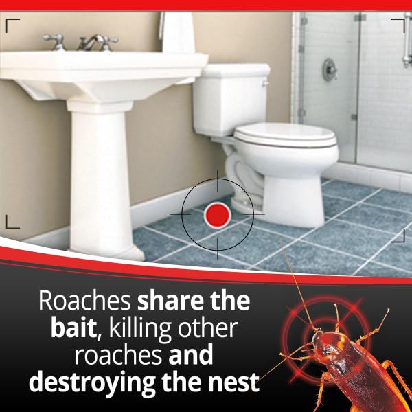 Close view of bait inside a Combat Max station.