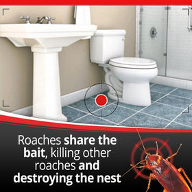 Close view of bait inside a Combat Max station.