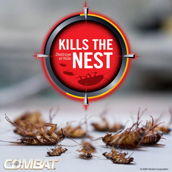 Roaches feeding at a Combat Max bait station.