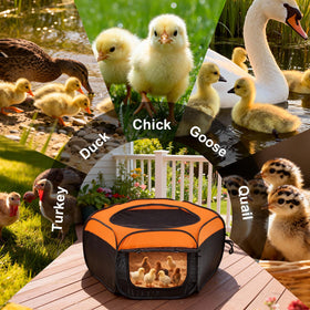 ComfyKit brooder holds up to fifteen chicks for growing comfort