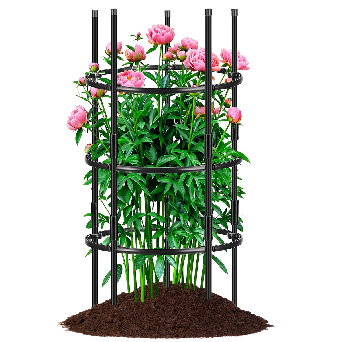 ComfyKit peony cage assembly step with adjustable tiers for tall blooms.