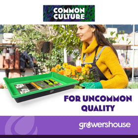 Common Culture Integra Boost packs help maintain moisture in storage.