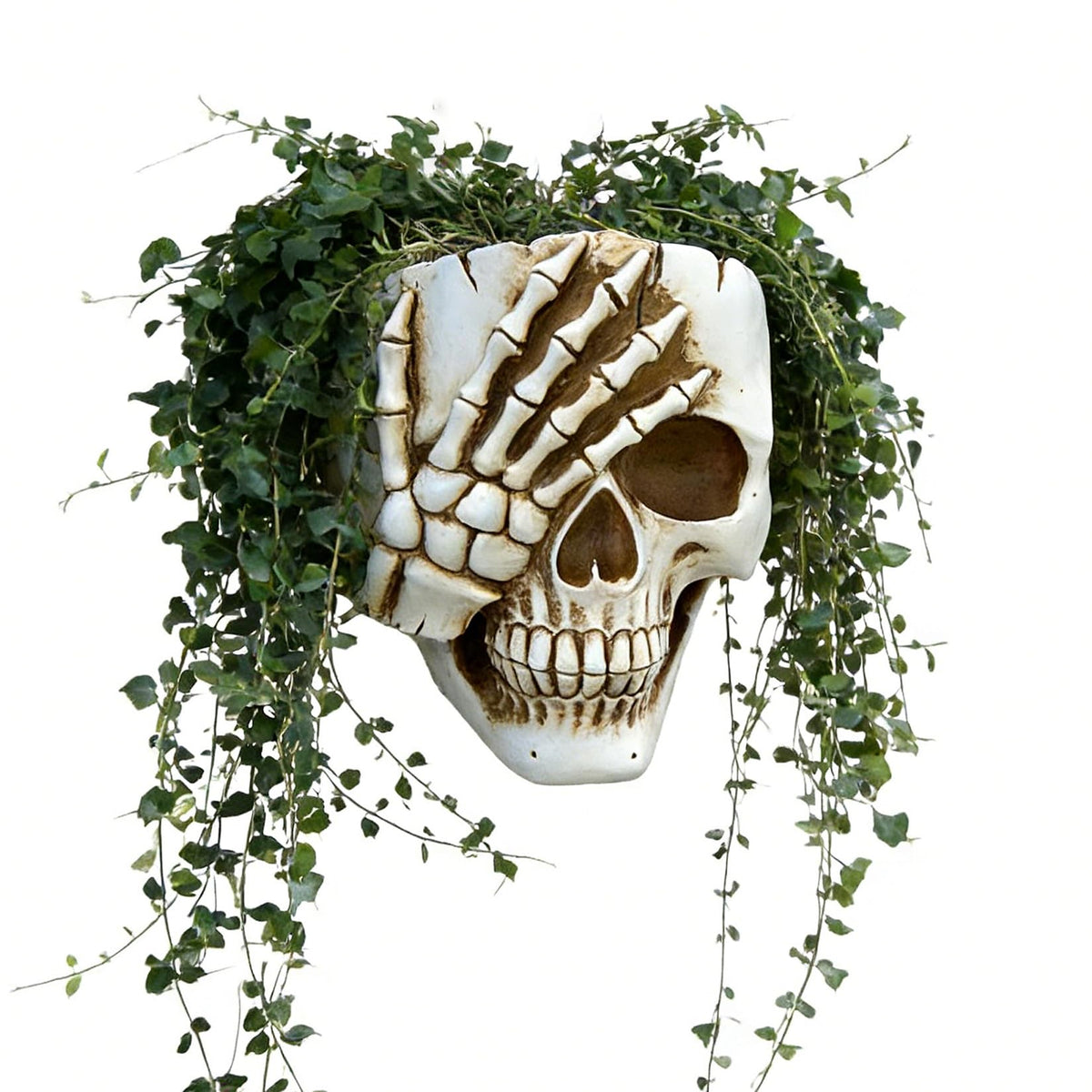 COMODID skull planter front view for gothic indoor decor with small plants.