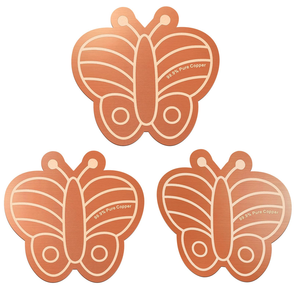 Conderyang butterfly-design copper disk attracts birds to the water.