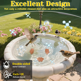 Conderyang butterfly-inspired design adds visual appeal for birds.