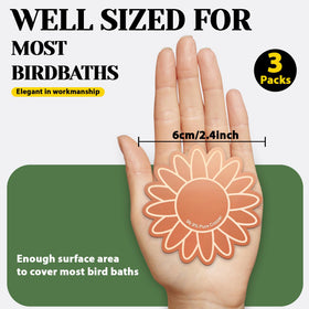 Conderyang copper purification disk in outdoor bird bath attracts birds.