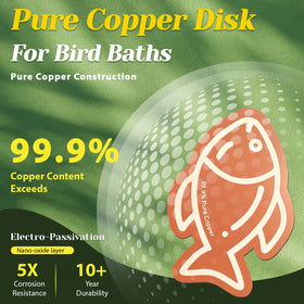 Conderyang bird bath purification disks set for outdoor use