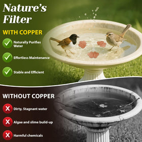 Conderyang passivated copper disk designed for all-season durability.