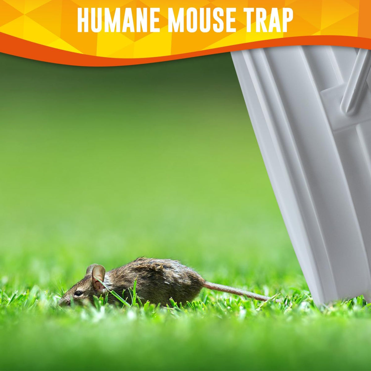 CONIJIWA auto-reset mechanism supports continuous hands-off trapping.