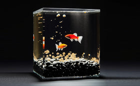 CONSDAN aquarium gravel offers a clean, polished look for tanks.