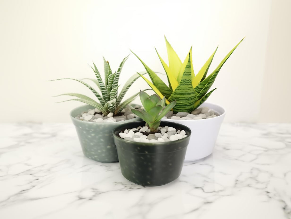 DIY crafts using CONSDAN river rocks to create decor accents