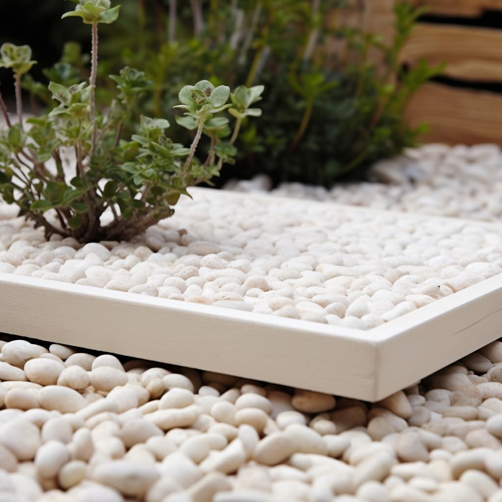 Succulent planter accented by CONSDAN rocks for a clean natural backdrop