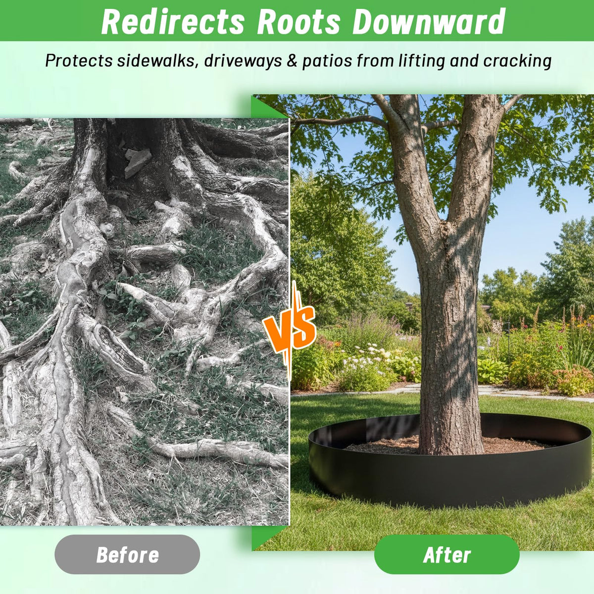 Convivium 60mil HDPE barrier protects sidewalks by directing roots away from pavements