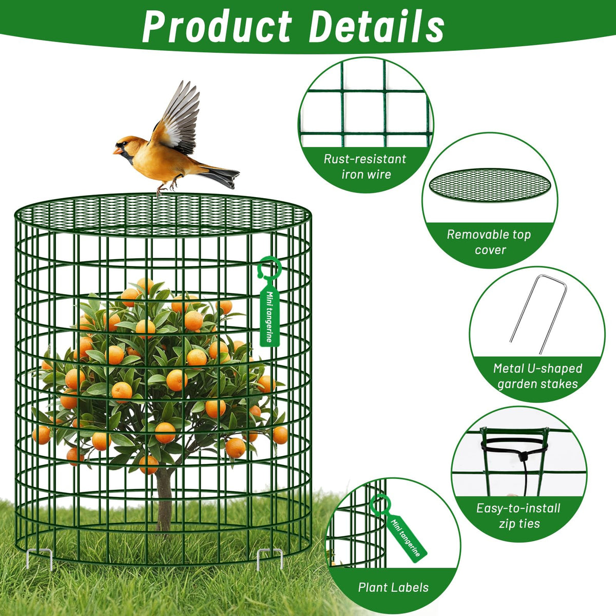 Convivium metal mesh close-up shows rust-resistant construction for breathable plant guarding.