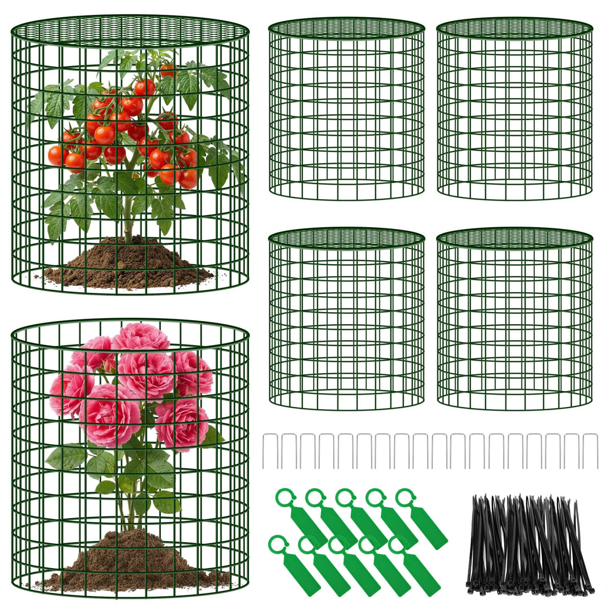 Convivium plant protector assembled around a plant, providing a reliable small-animal barrier.
