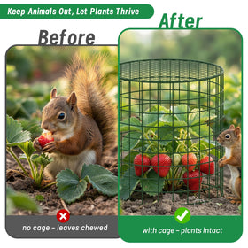 Convivium six-pack kit demonstrates versatile protection for multiple beds and planters.