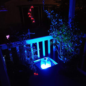 COODIA 730GPH pump displays blossom water pattern for garden pond ambiance.