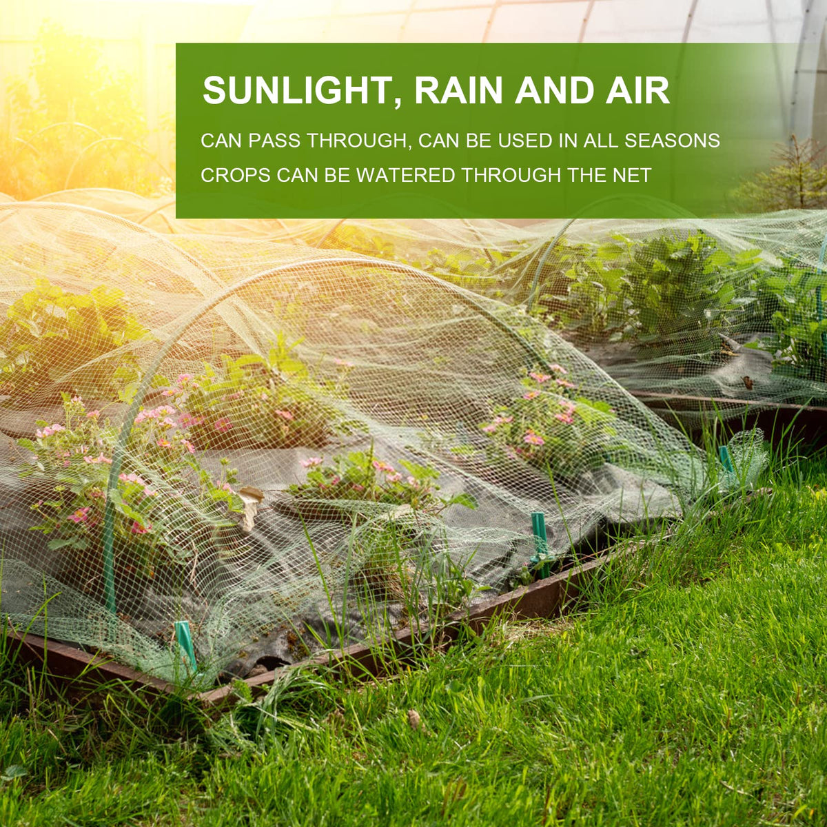 Cookmaster breathable netting allows air and water through for healthy growth.