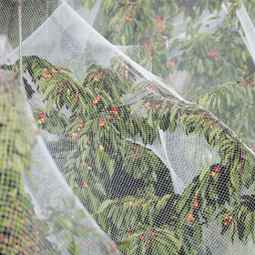 Cookmaster easy-installation plant cover for quick protection in any garden setup.