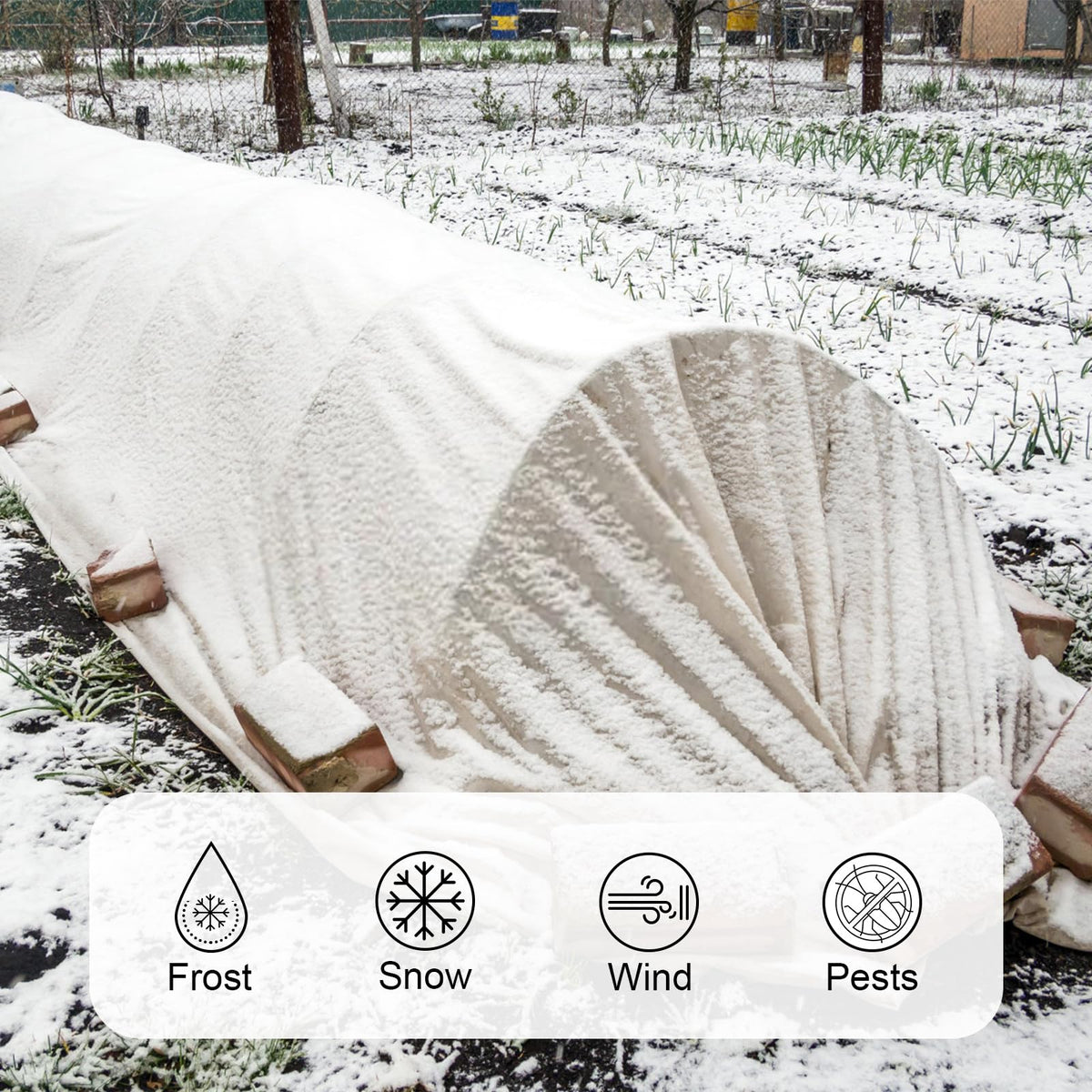 Cookmaster seed germination heat-trap aids early seedling emergence.
