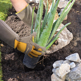 COOLJOB machine-washable garden gloves simplify cleanup after messy tasks.