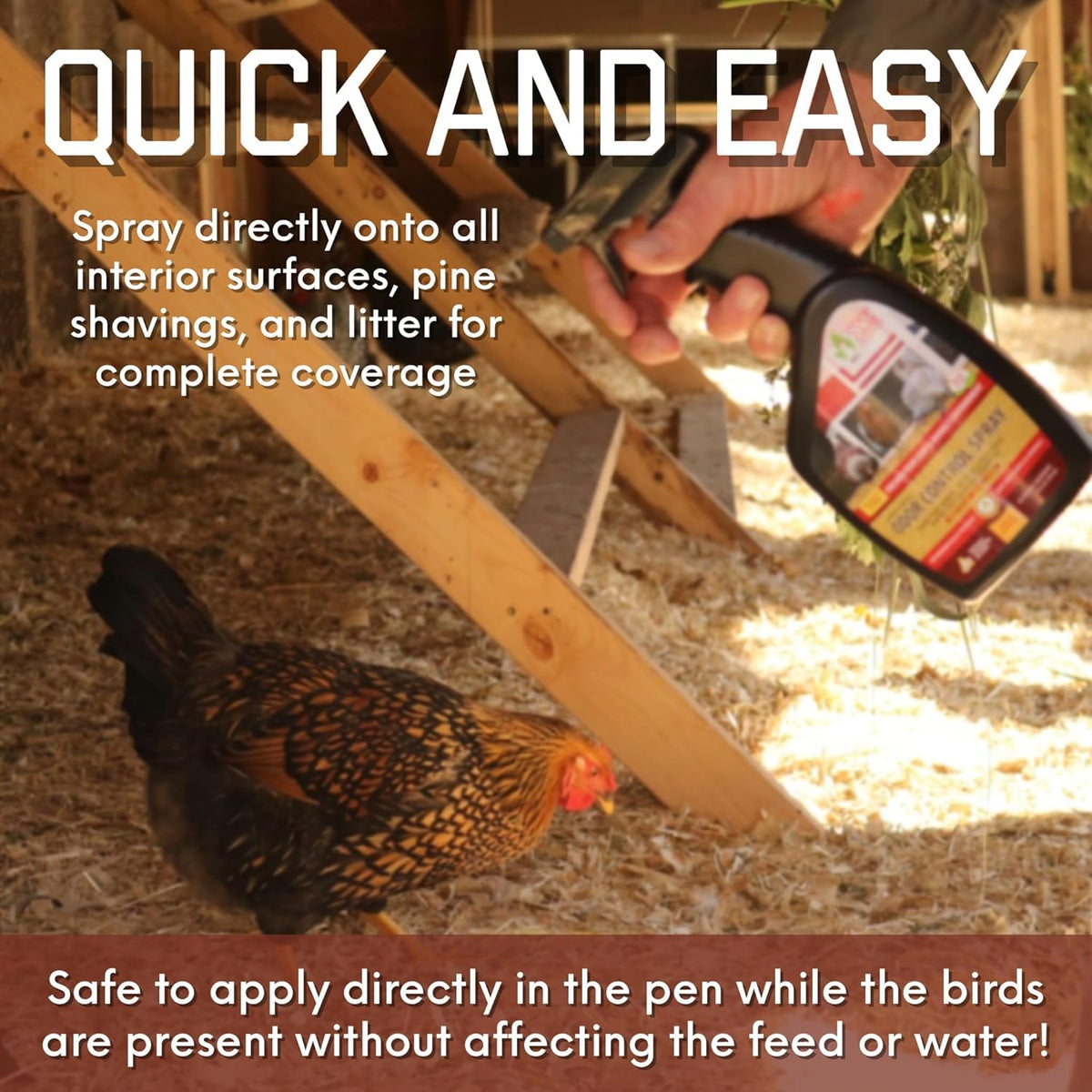 Coop Care Green Diet for Chickens, supports healthy greens year-round.