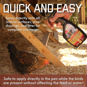 Coop Care Green Diet for Chickens, supports healthy greens year-round.