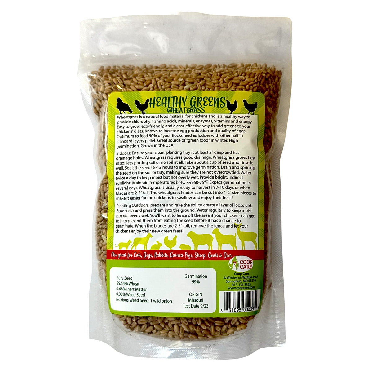 Coop Care Indoor/Outdoor Wheatgrass Grow, versatile cultivation for pets or poultry.