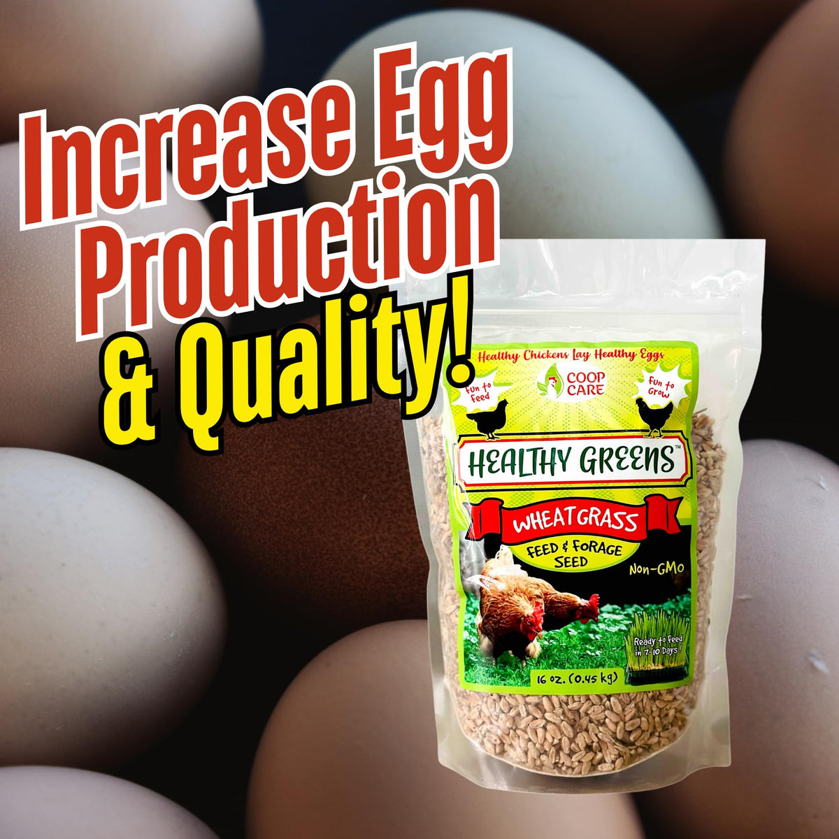 Coop Care Quick Germination 7-10 Days, harvest-ready blades in a short cycle.