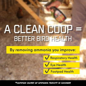 Coop Care Winter Green Food for Chickens, helps maintain greens during cold months.