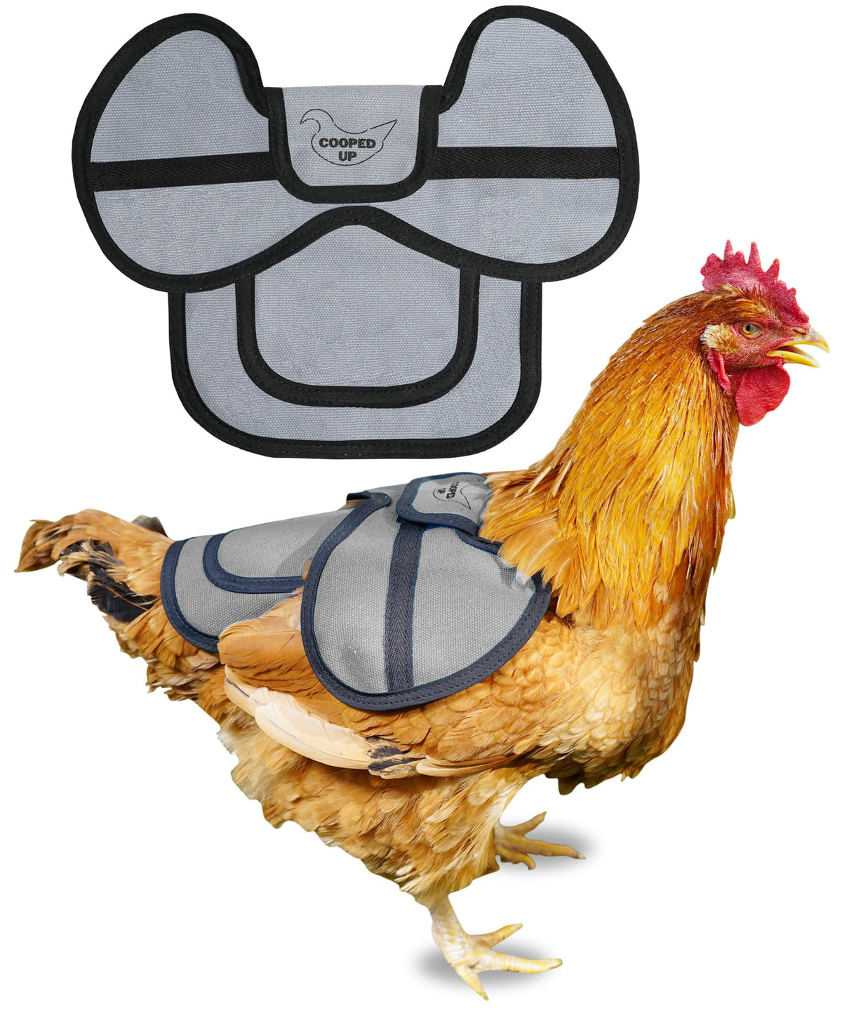 COOPED UP canvas chicken saddle provides back protection for medium-large hens.