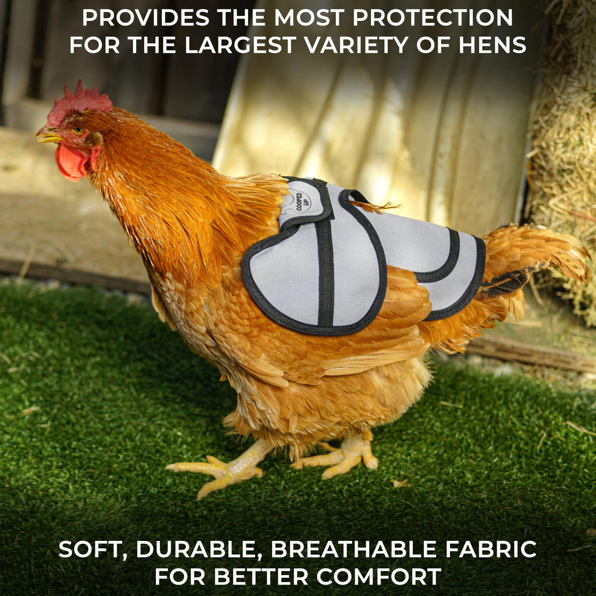 COOPED UP canvas chicken saddle pink large-wing-cover provides comprehensive wing protection.