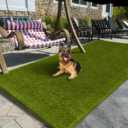 CooRug artificial grass 5x10ft with a realistic look for curb appeal