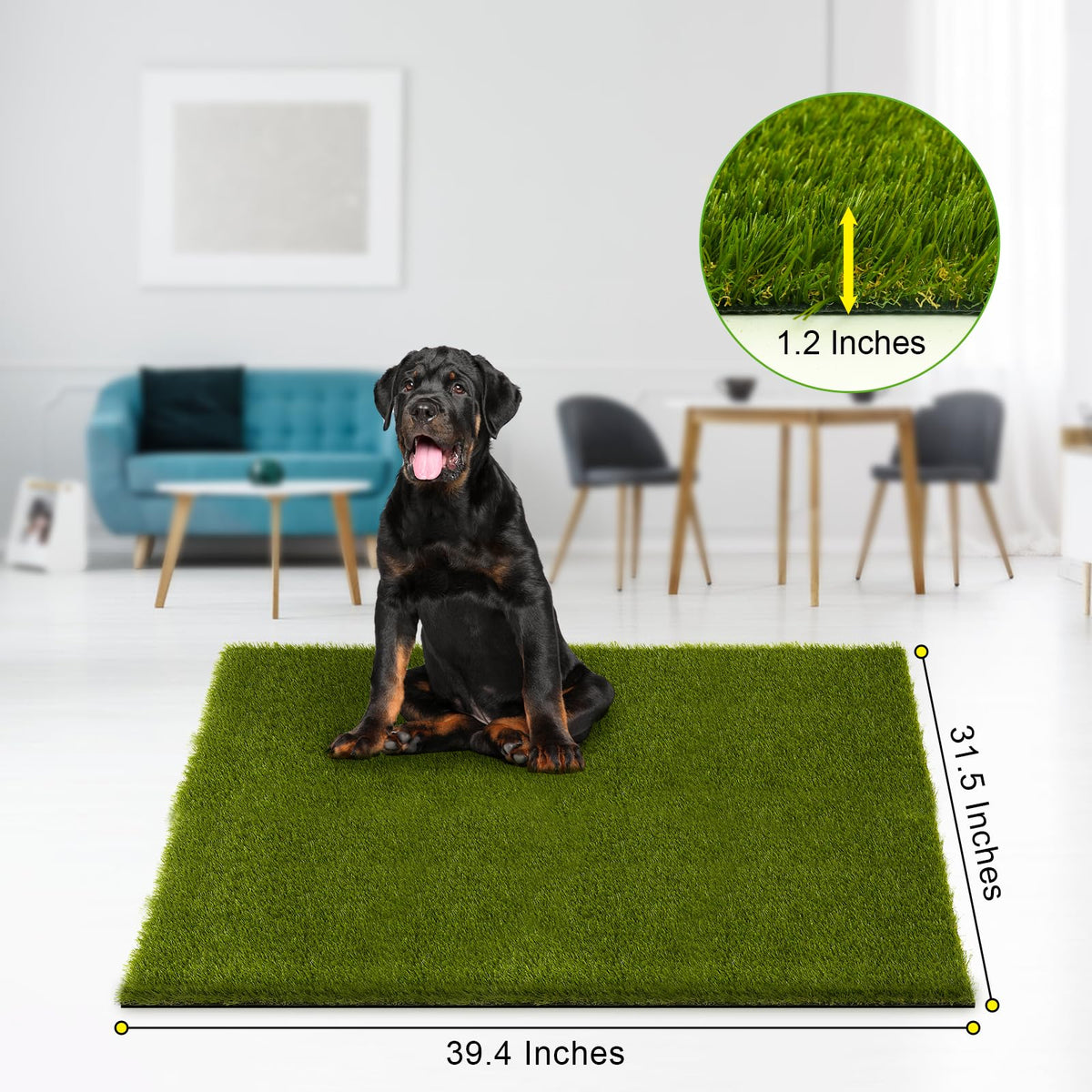 CooRug artificial turf for indoor-outdoor use emphasizing low maintenance appeal