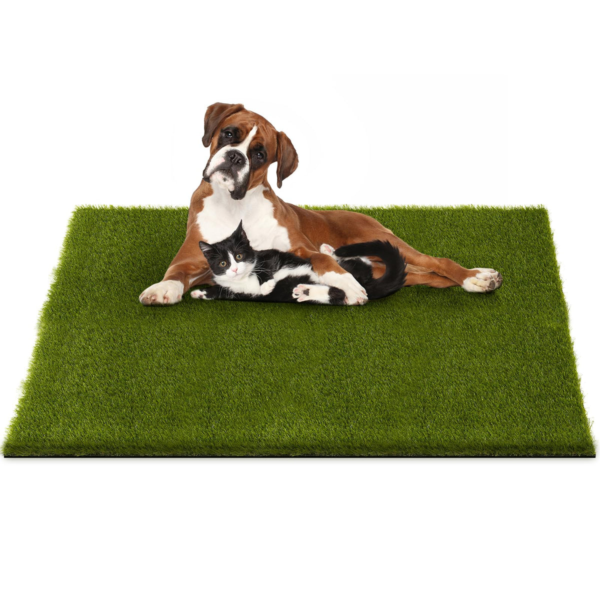 CooRug fake grass for dogs with a lush, safe play surface and realistic look