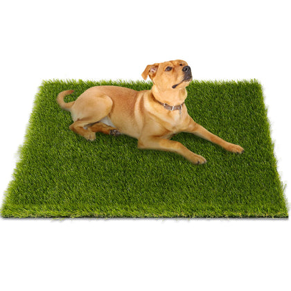 CooRug fake grass close-up texture ideal for dogs' play area.