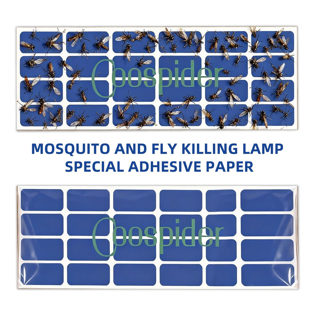 Wall sconce fly trap mounted in kitchen ready to attract flies.
