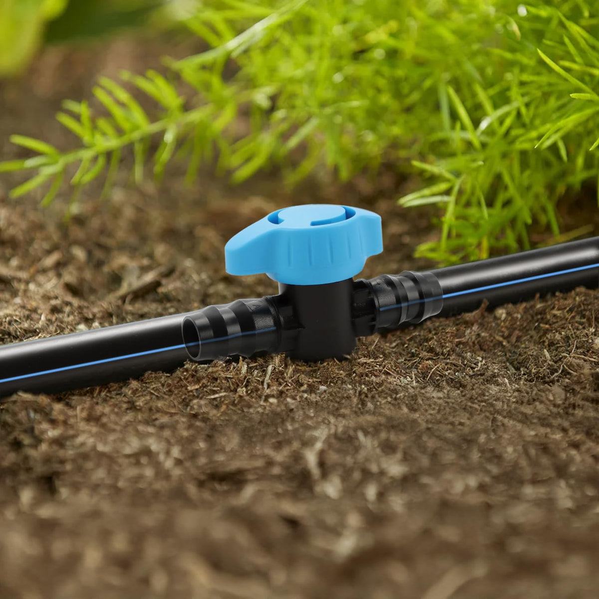 Copadri irrigation system garden layout showcases versatile zoning options.