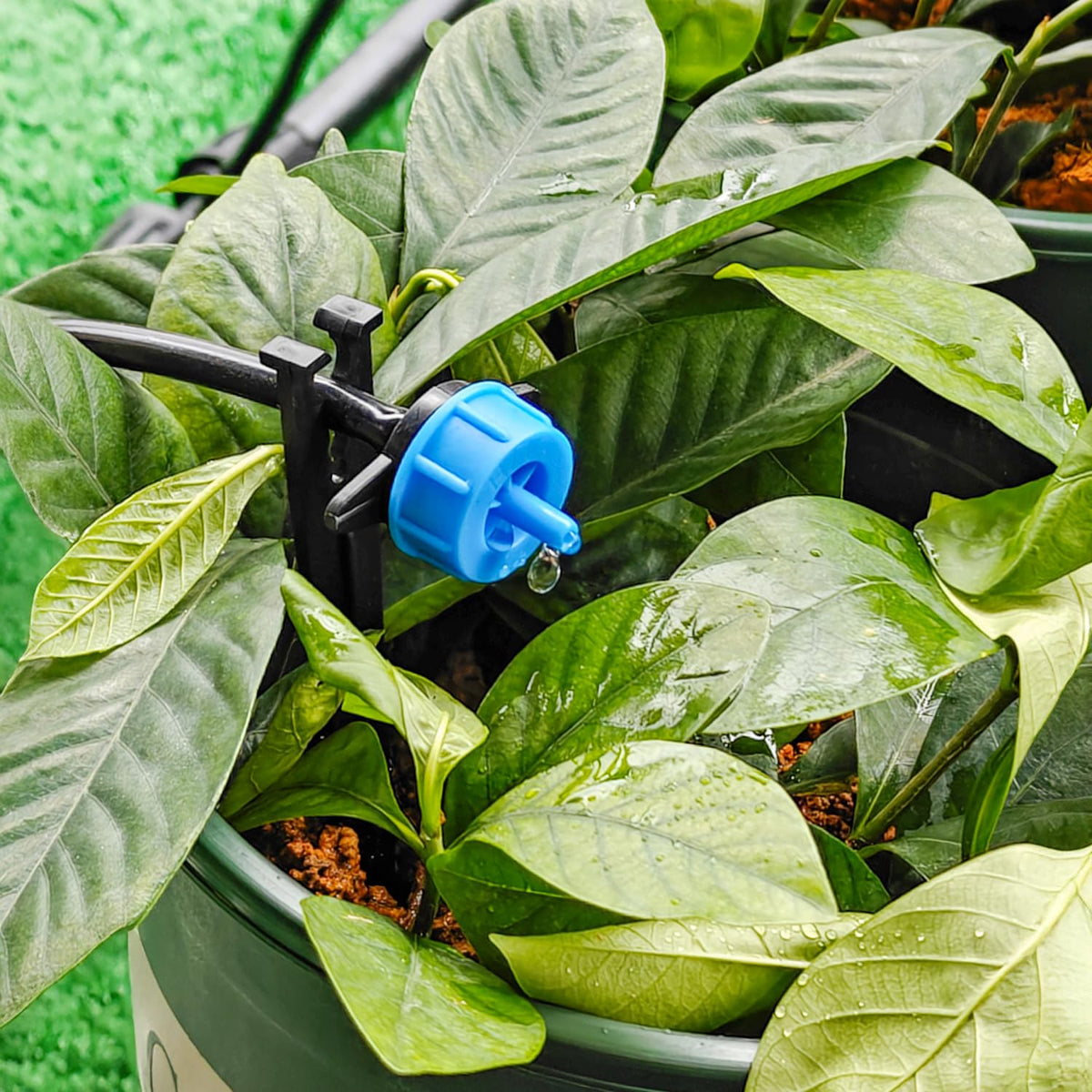 Copadri self-piercing connection enables quick tubing setup.