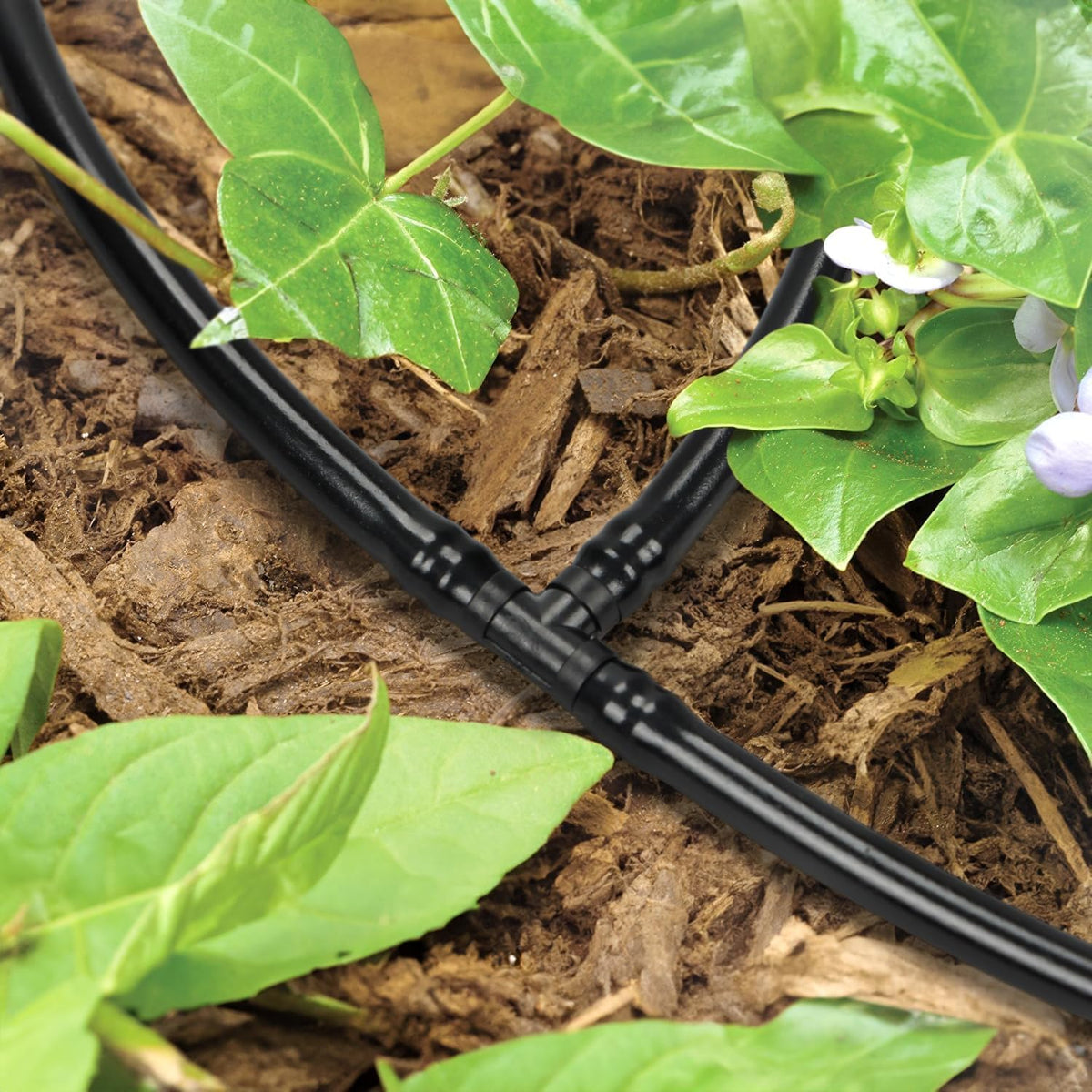 Copadri 1/4 inch tubing compatibility promotes flexible irrigation layouts.