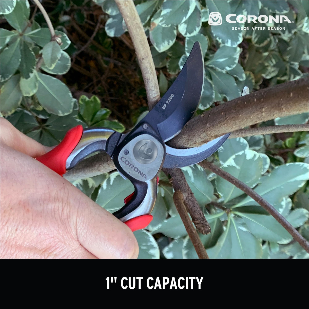 Corona BP 7200 built in safety lock keeps the blade safely closed during storage.