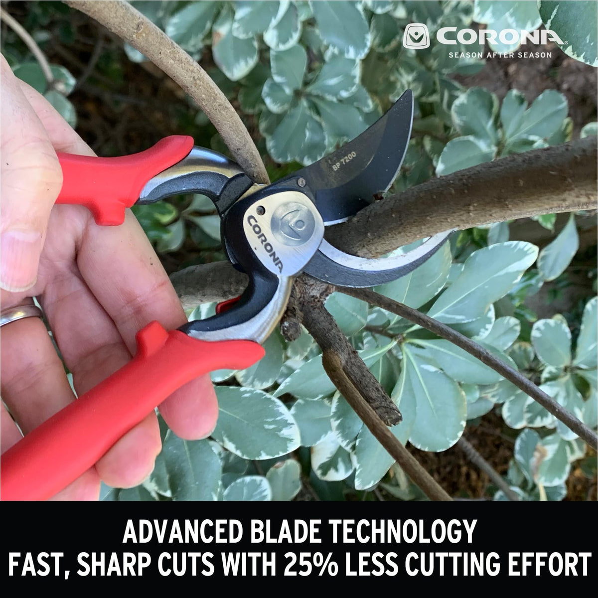 Corona BP 7200 ergonomic red handles provide a secure, non-slip grip for long pruning sessions.