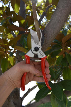 Corona BP6250 lightweight aluminum handles reduce hand fatigue during pruning