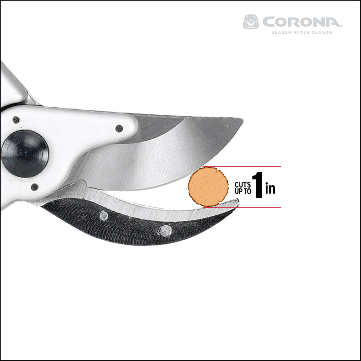 Corona BP6250 replaceable blade keeps pruning sharp across seasons