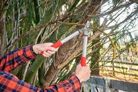 Corona ClassicCUT bypass blade close-up for clean cuts.