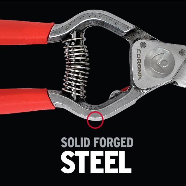 Corona ClassicCUT bypass blade in action delivers smooth cuts on live stems.