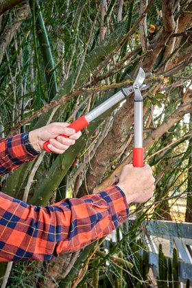 Homeowners and pros alike rely on Corona ClassicCUT for maintenance.