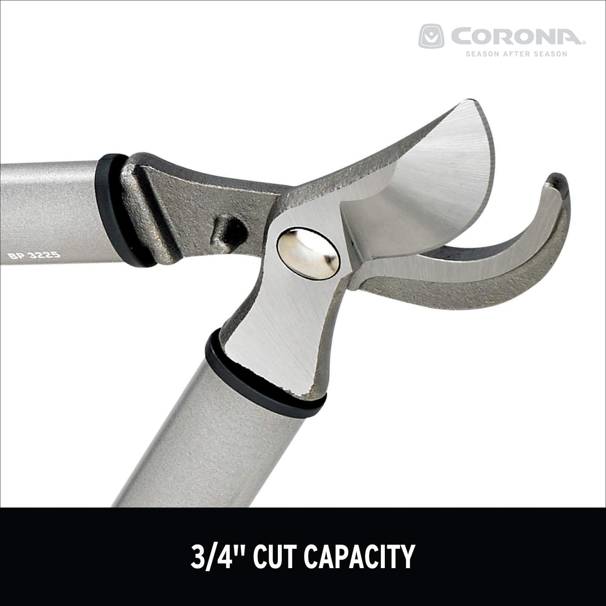 Corona pruner in tight spaces demonstrates precise control.