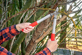 Corona ClassicCUT three-quarter-inch cut capacity for shrubs.